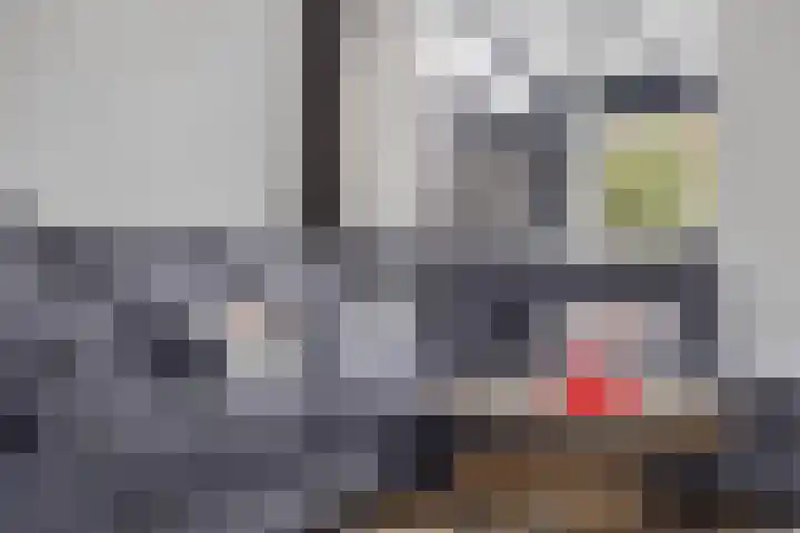 Queekhoven 53 Amersfoort thumbnail 9