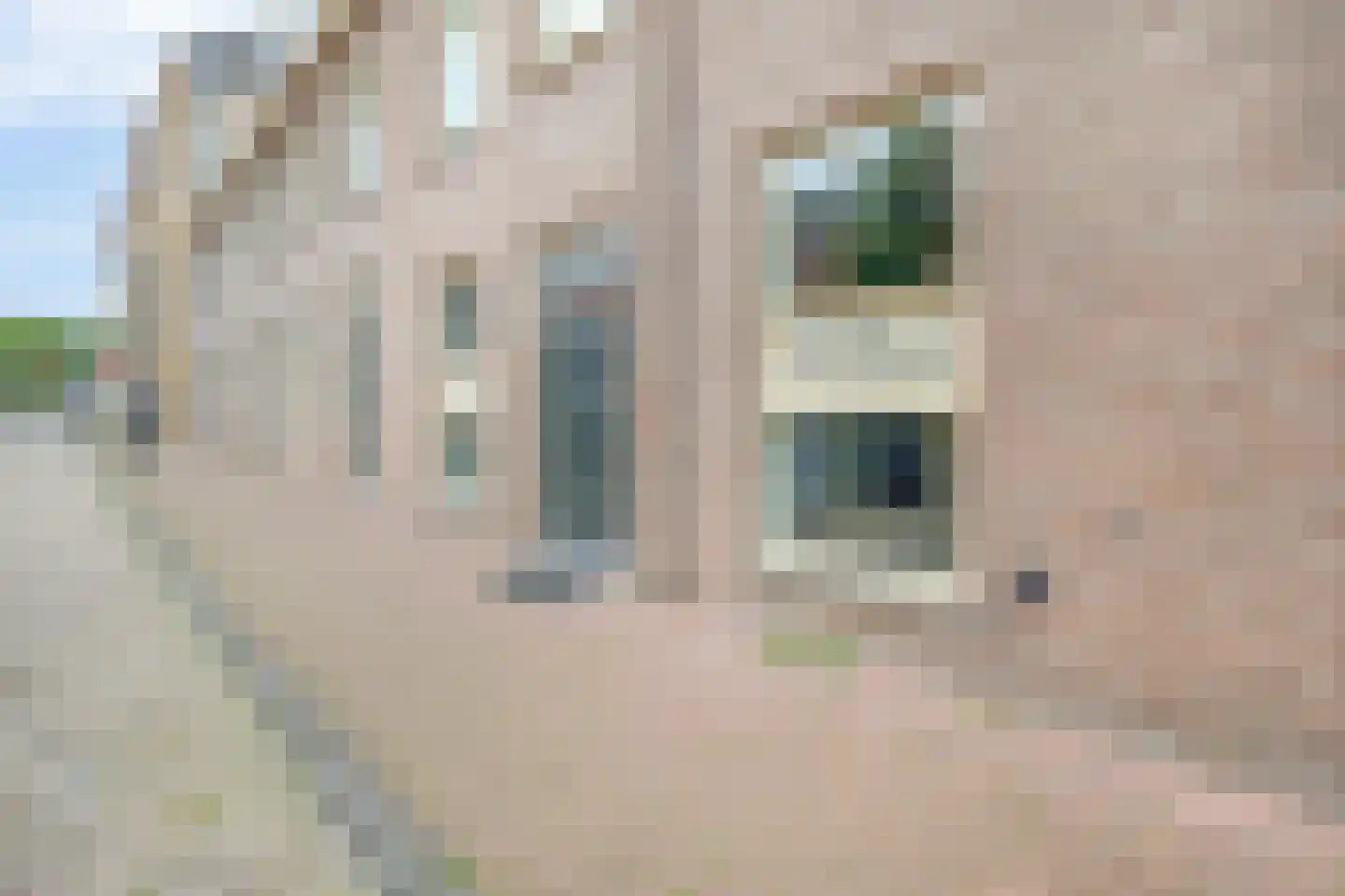 Queenboroughstraat 21 Brielle thumbnail 7