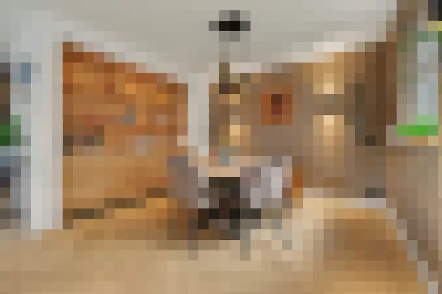 Queensland 13 Drunen thumbnail 10