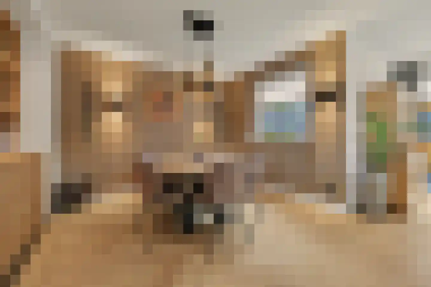 Queensland 13 Drunen thumbnail 11