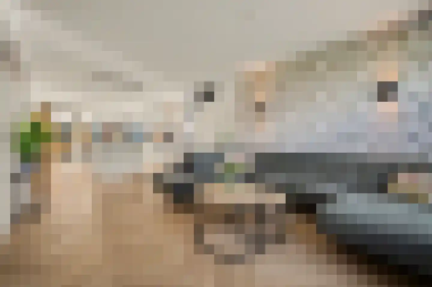 Queensland 13 Drunen thumbnail 14