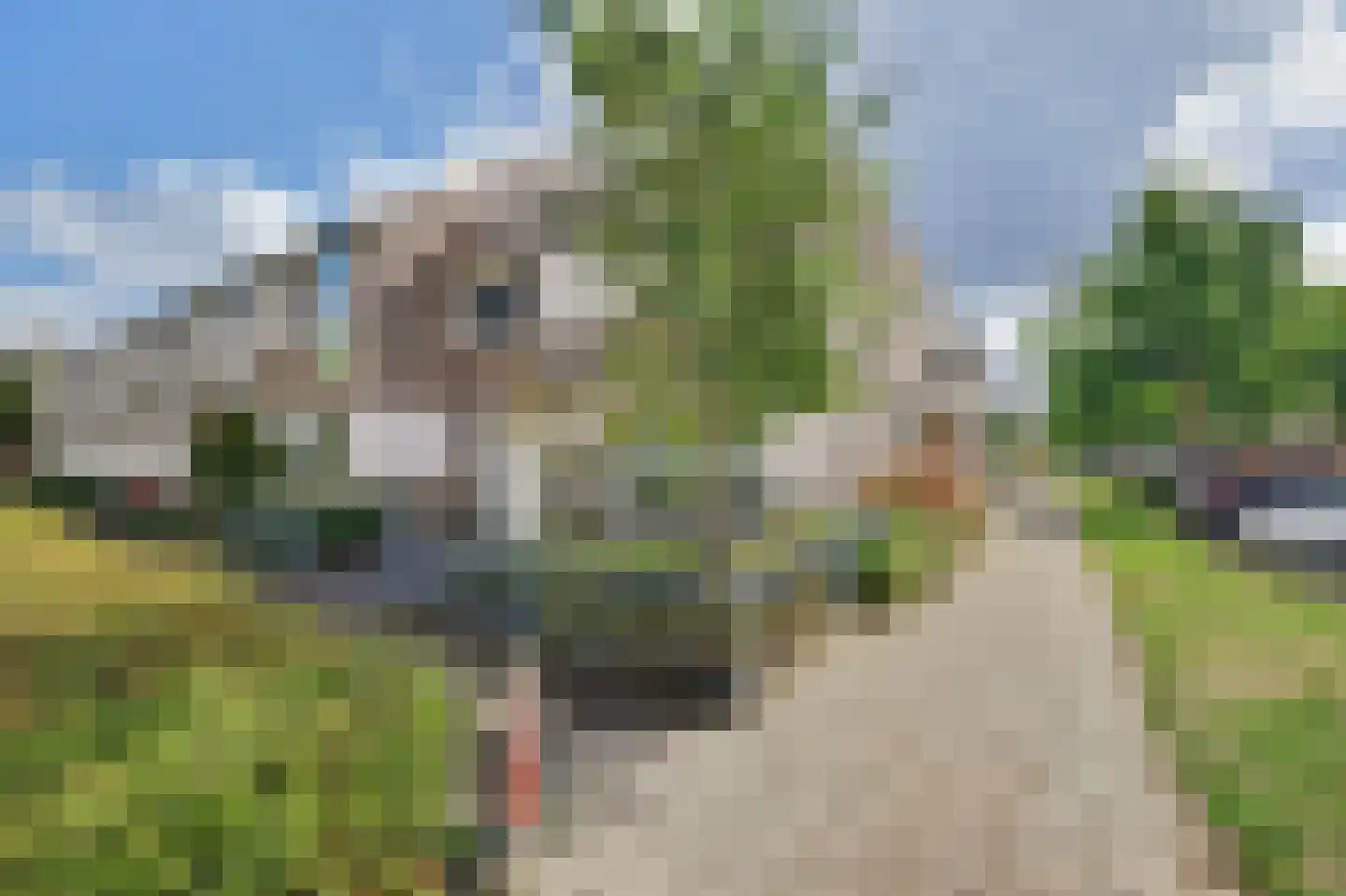 Queensland 13 Drunen thumbnail 47
