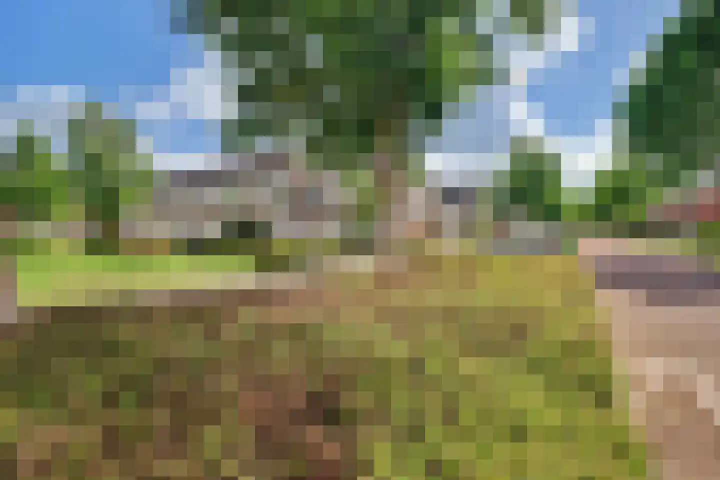 Queensland 13 Drunen thumbnail 49