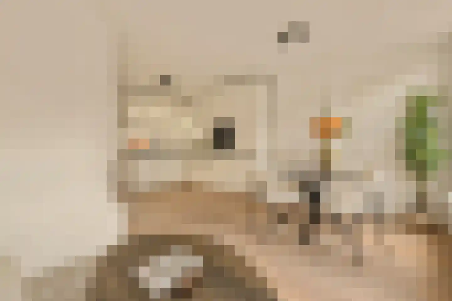Quellijnstraat 148 3 Amsterdam thumbnail 6
