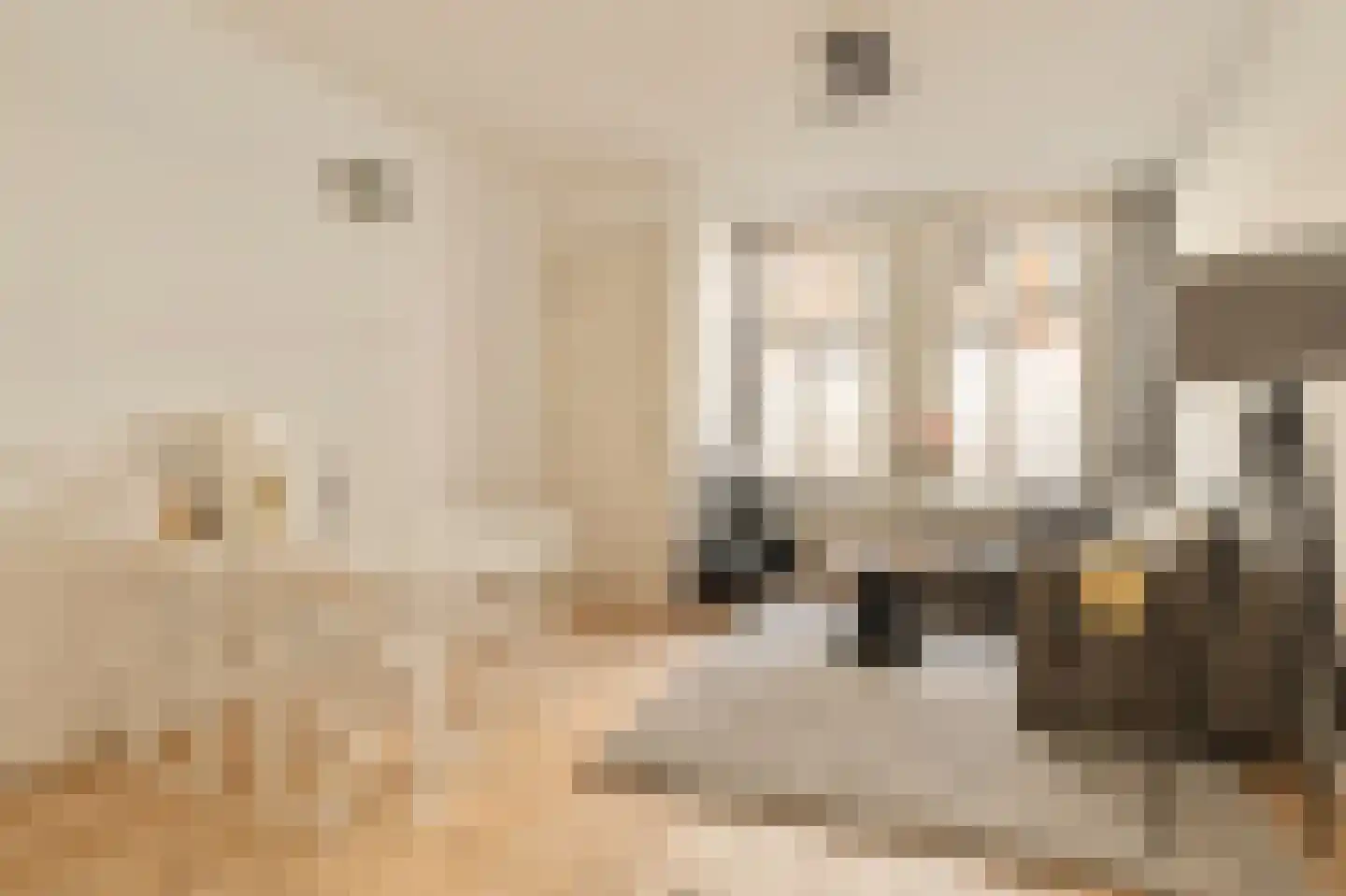 Quellijnstraat 150 1 Amsterdam thumbnail 7