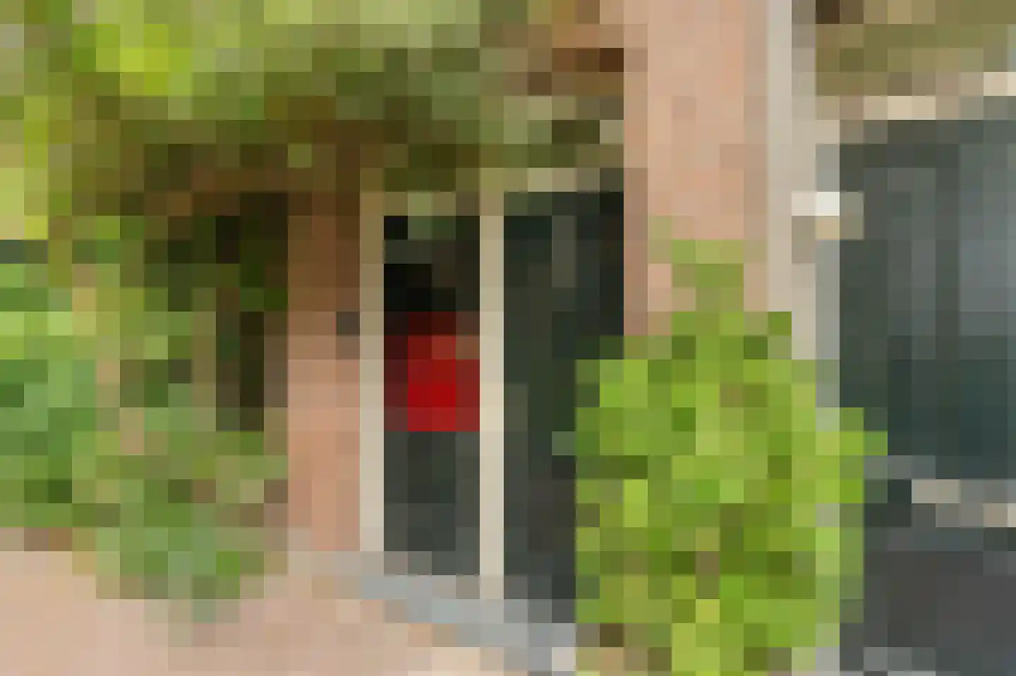 Quellijnstraat 17 4 Amsterdam thumbnail 16