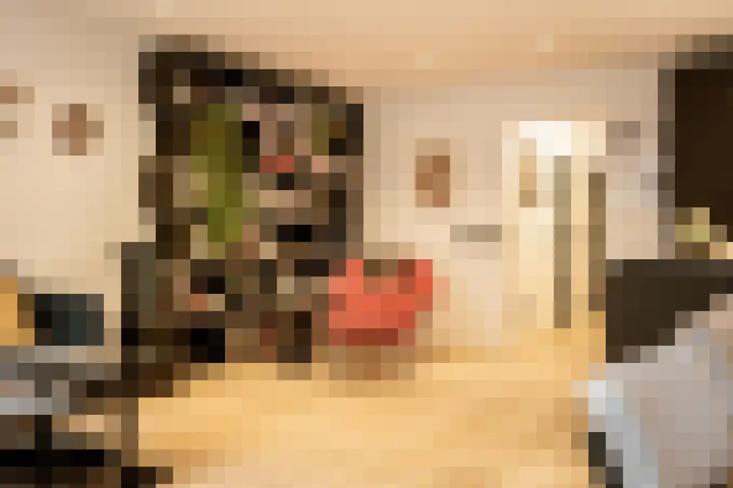 Quellijnstraat 7 A Amsterdam thumbnail 11