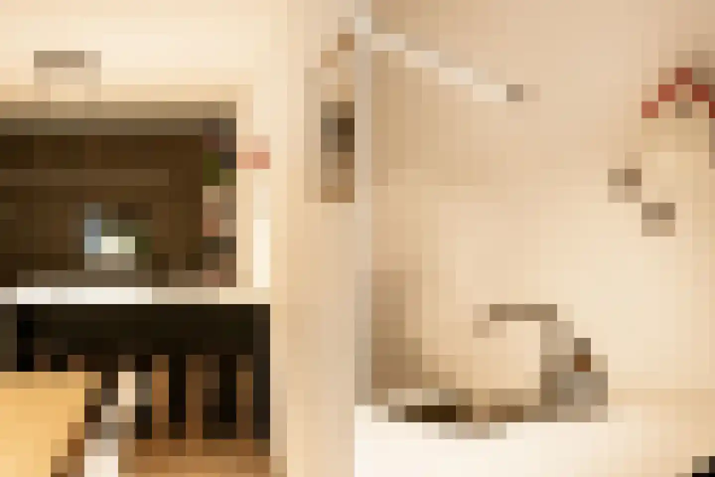 Quellijnstraat 7 A Amsterdam thumbnail 12