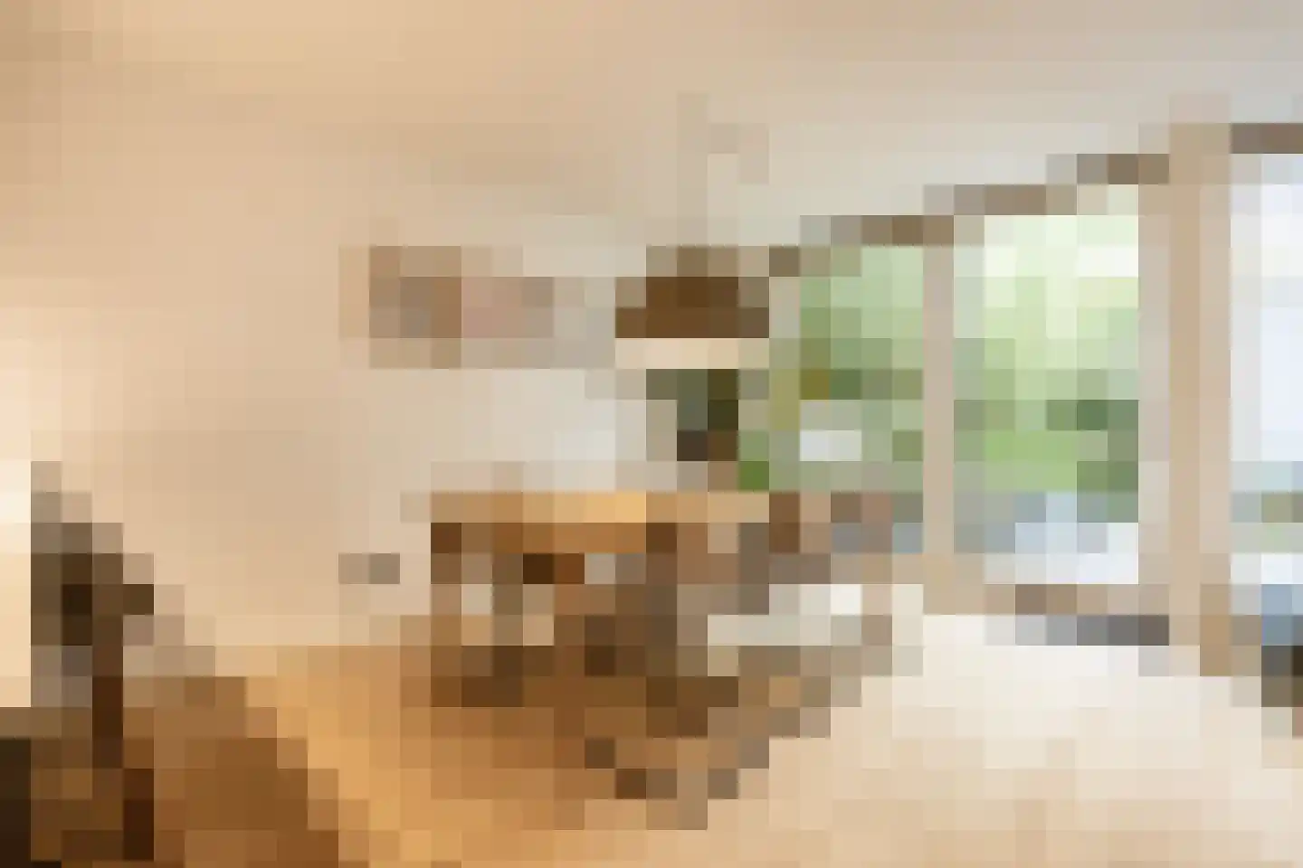 Quellijnstraat 7 A Amsterdam thumbnail 14