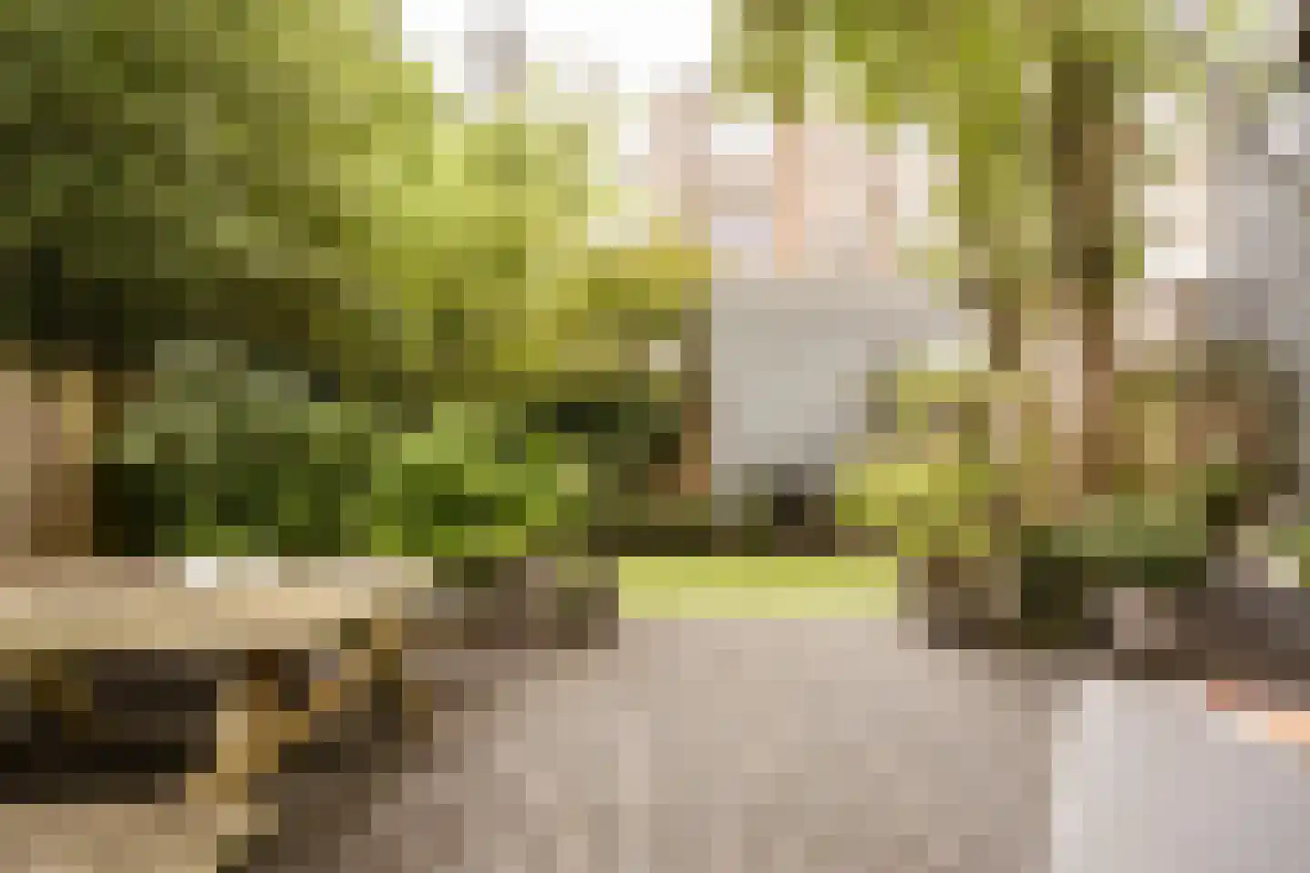 Quellijnstraat 7 A Amsterdam thumbnail 18