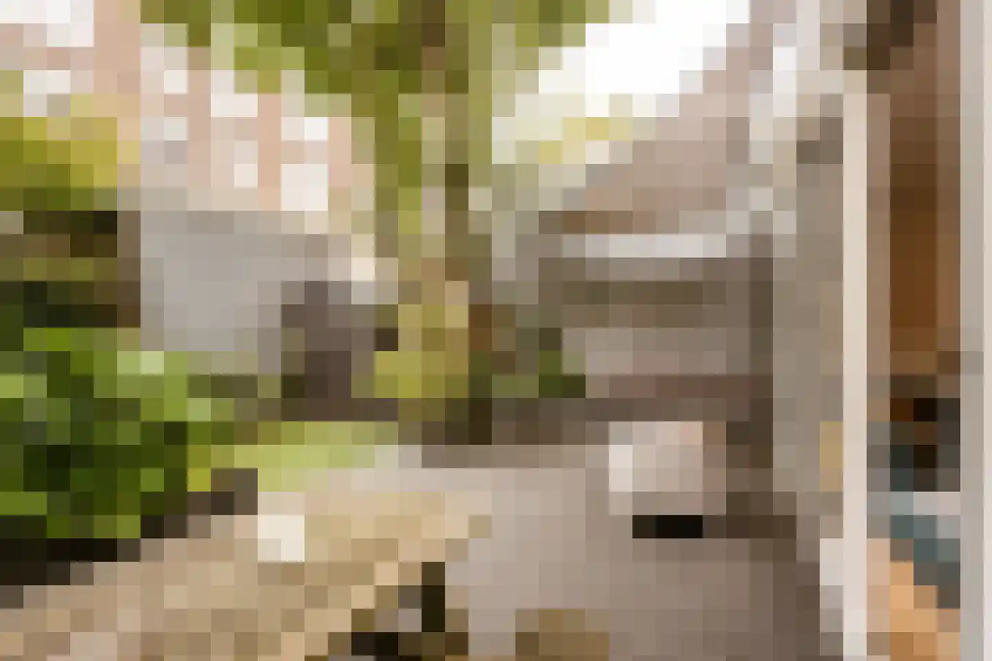 Quellijnstraat 7 A Amsterdam thumbnail 19