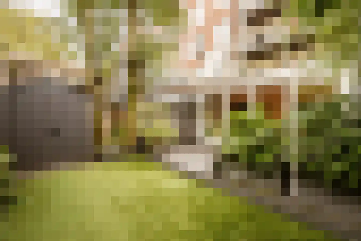 Quellijnstraat 7 A Amsterdam thumbnail 21