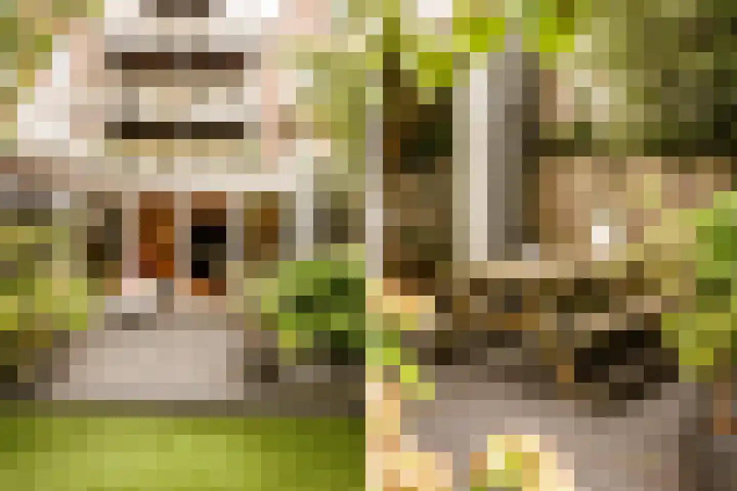 Quellijnstraat 7 A Amsterdam thumbnail 22