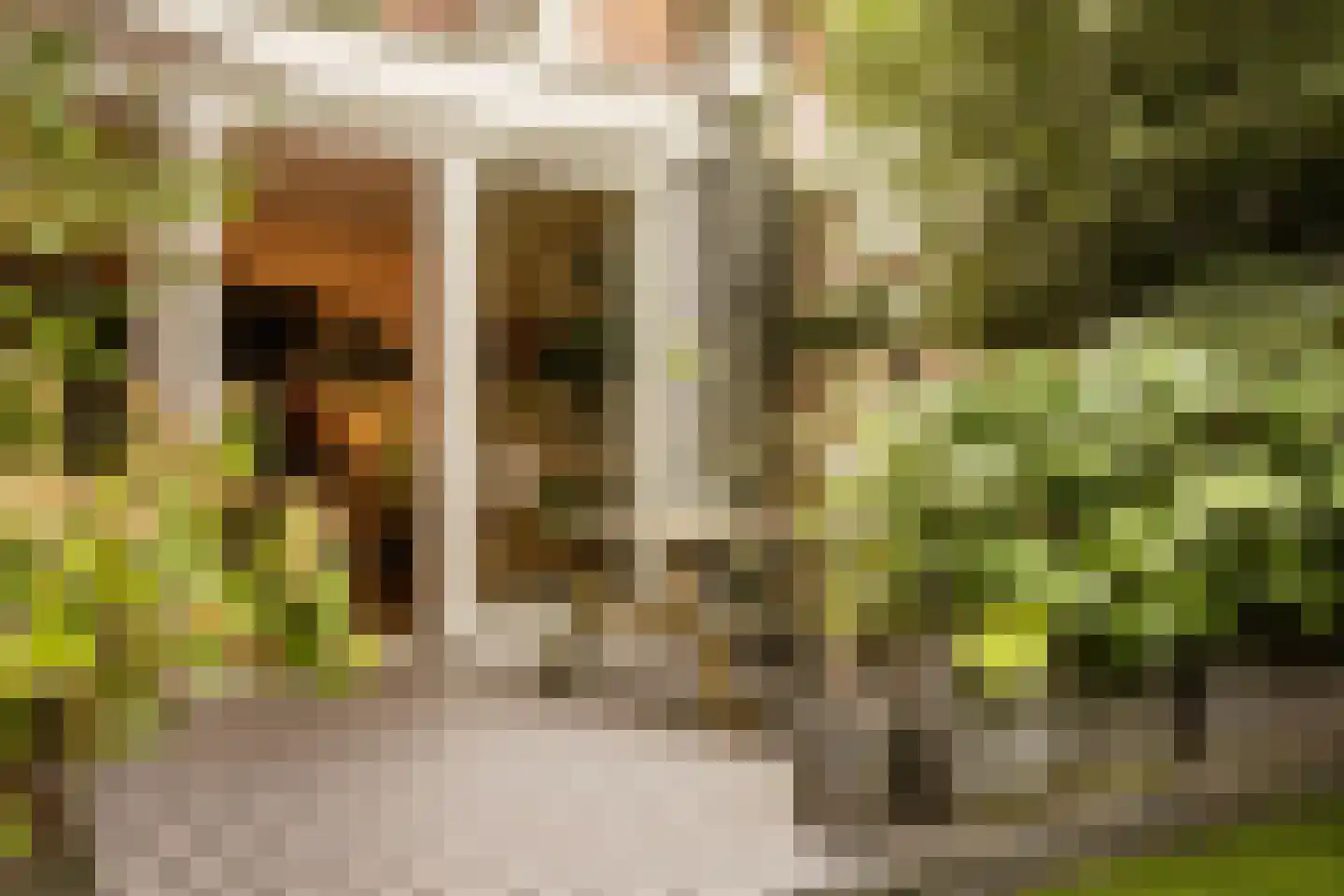 Quellijnstraat 7 A Amsterdam thumbnail 6