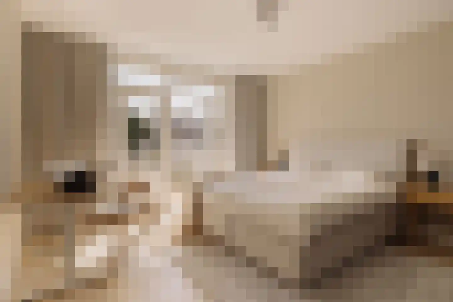 Quellijnstraat 78 3 Amsterdam thumbnail 16