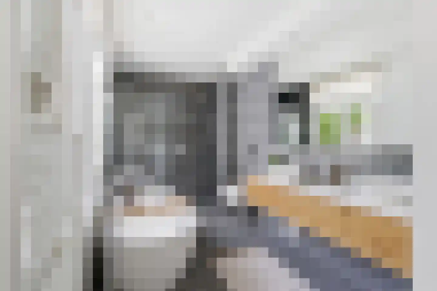 Quellijnstraat 88 1 Amsterdam thumbnail 18