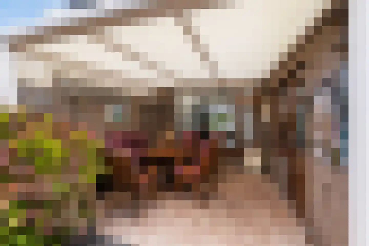 Queridolaan 12 Roosendaal thumbnail 28