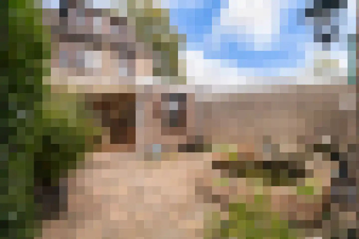 Queridolaan 12 Roosendaal thumbnail 29