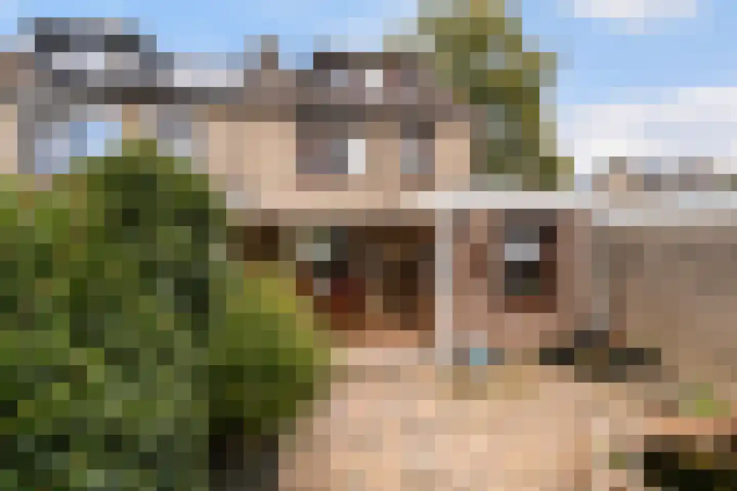 Queridolaan 12 Roosendaal thumbnail 30