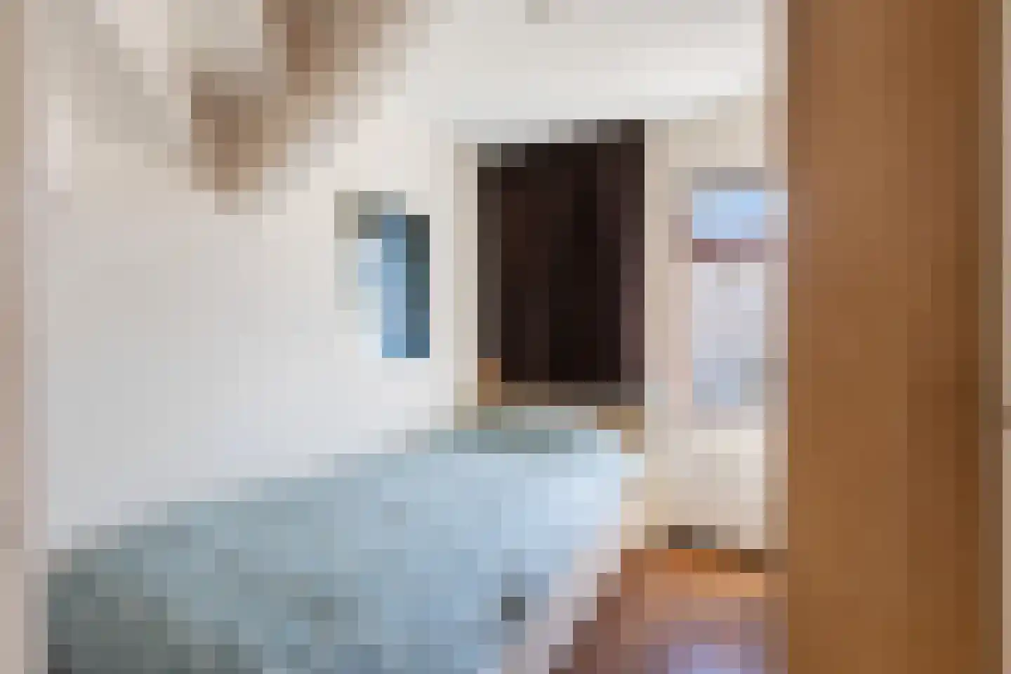 Queridolaan 12 Roosendaal thumbnail 36