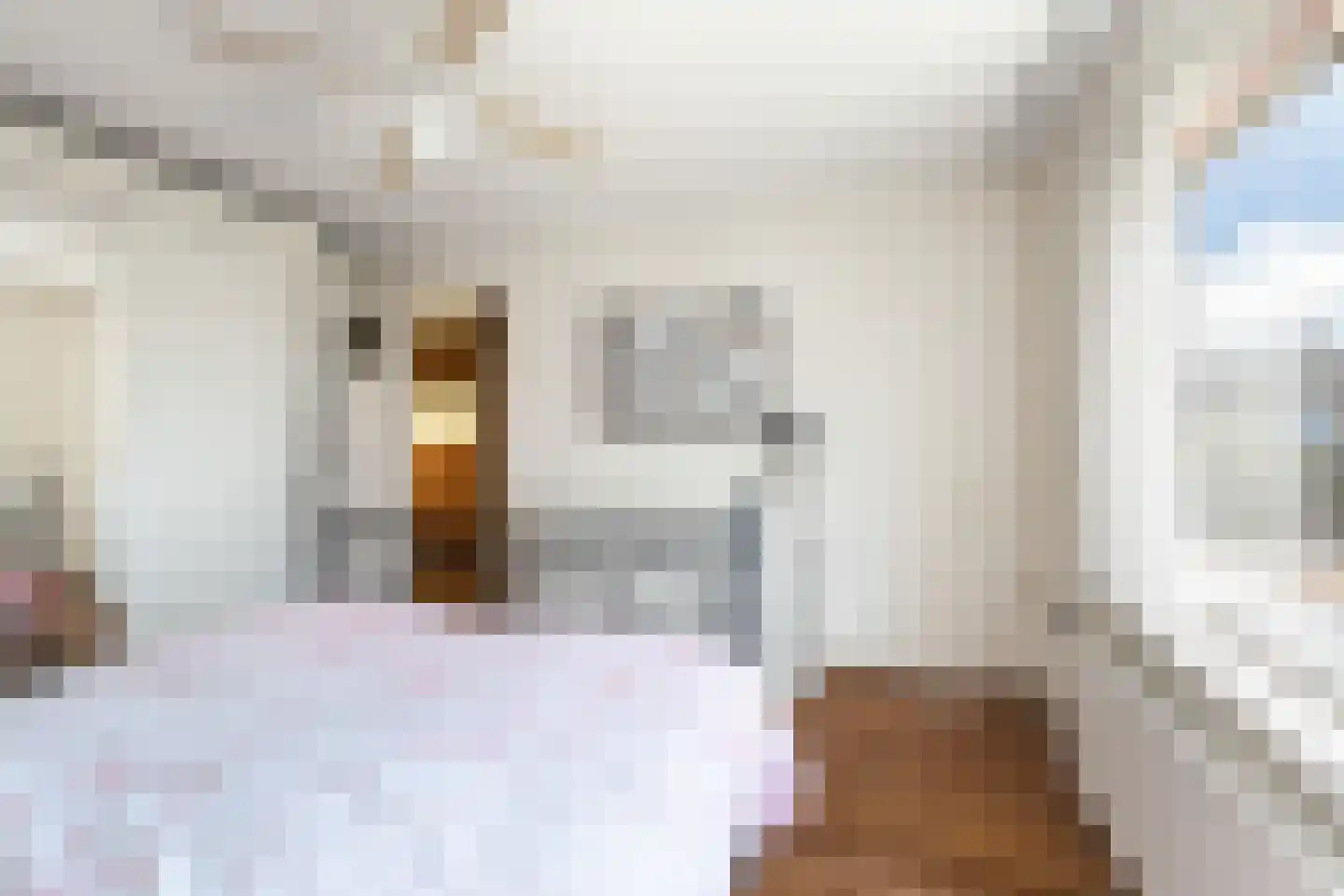 Queridolaan 12 Roosendaal thumbnail 41