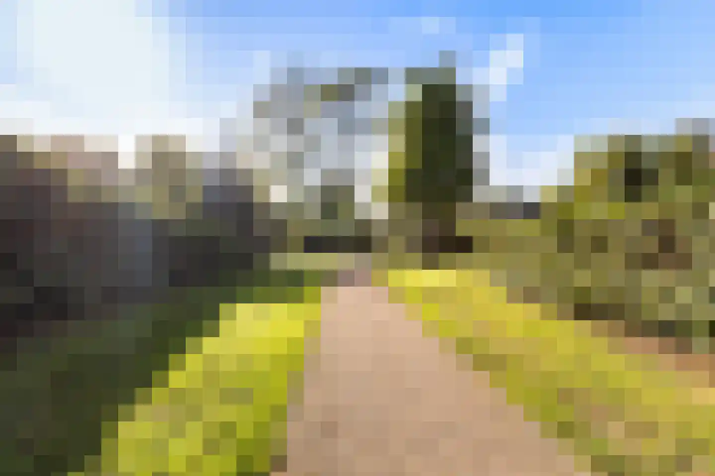 Queridolaan 12 Roosendaal thumbnail 54