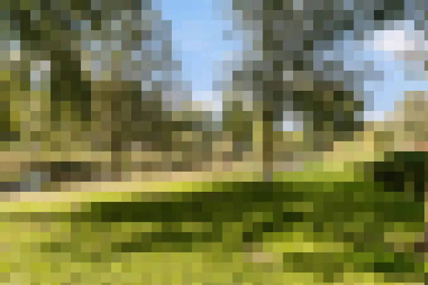 Queridolaan 12 Roosendaal thumbnail 55