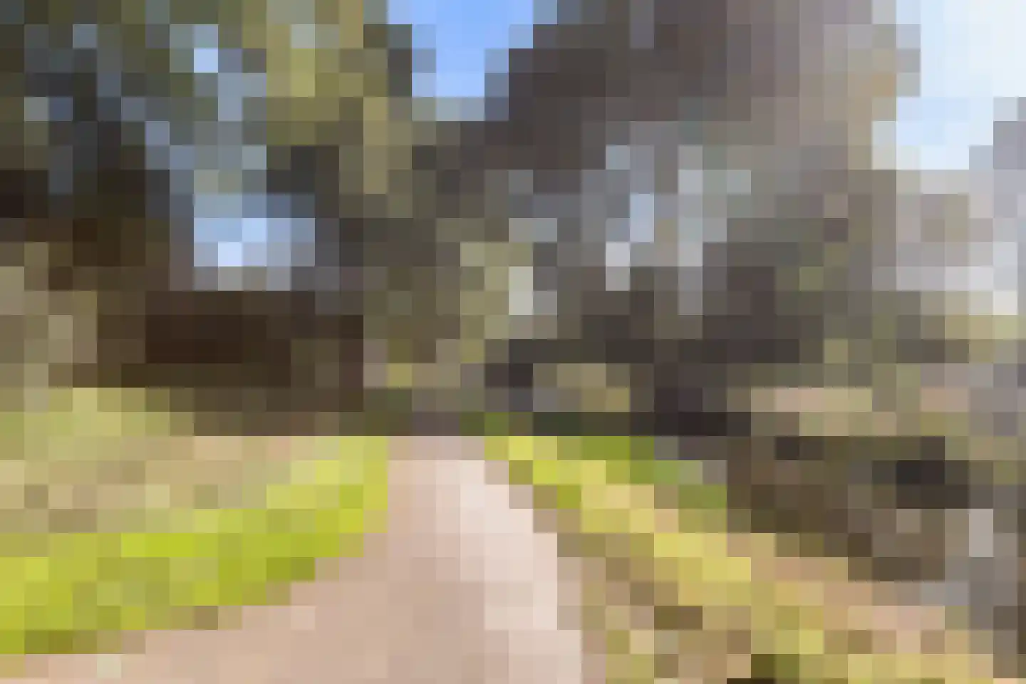 Queridolaan 12 Roosendaal thumbnail 56