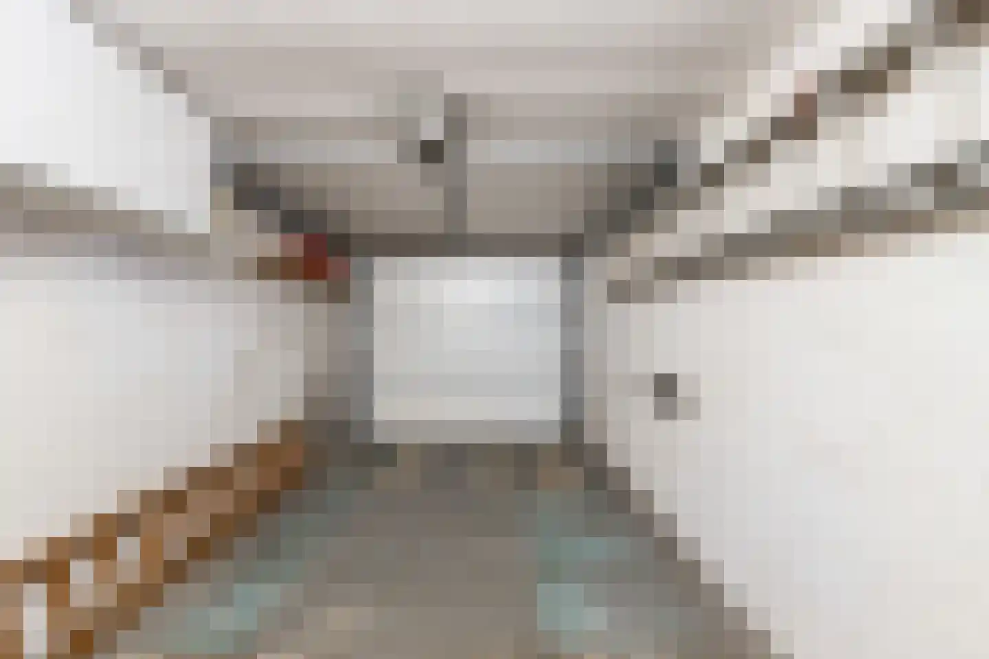 Queridolaan 12 Roosendaal thumbnail 7