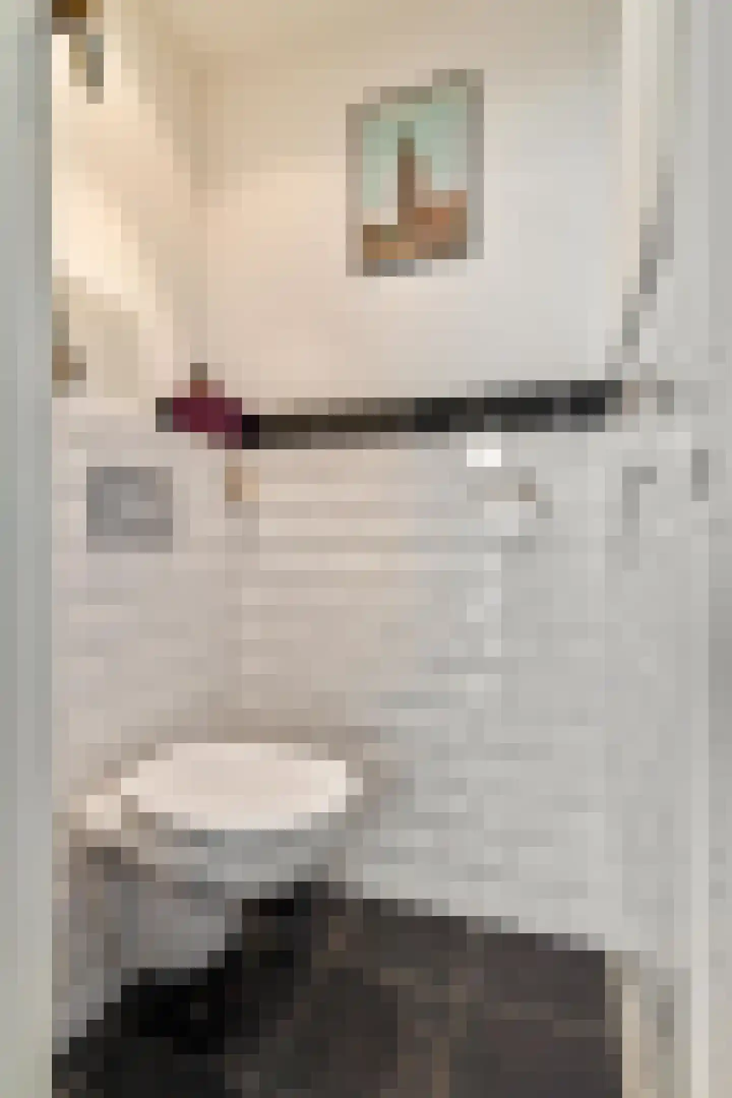 Queridolaan 14 Groningen thumbnail 21