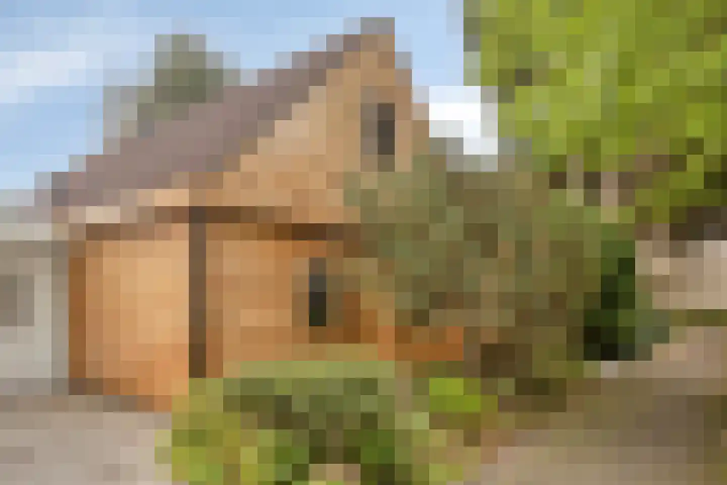 Queridolaan 23 Oegstgeest foto 3