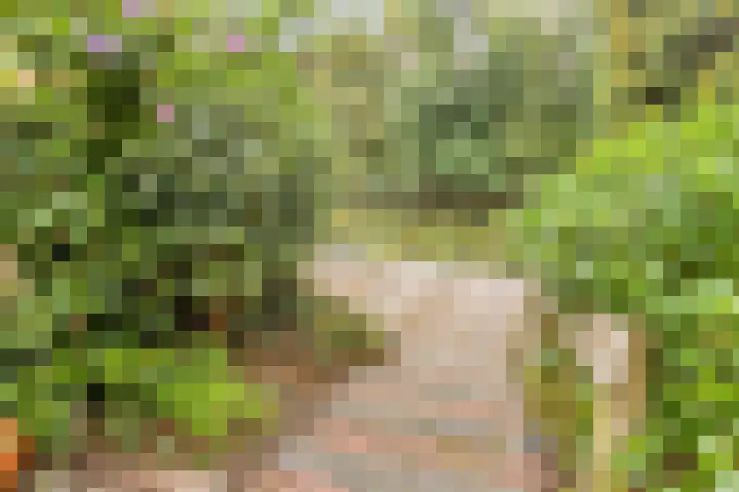 Queridolaan 23 Oegstgeest thumbnail 32