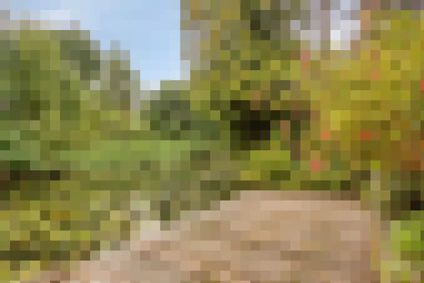 Queridolaan 23 Oegstgeest thumbnail 33