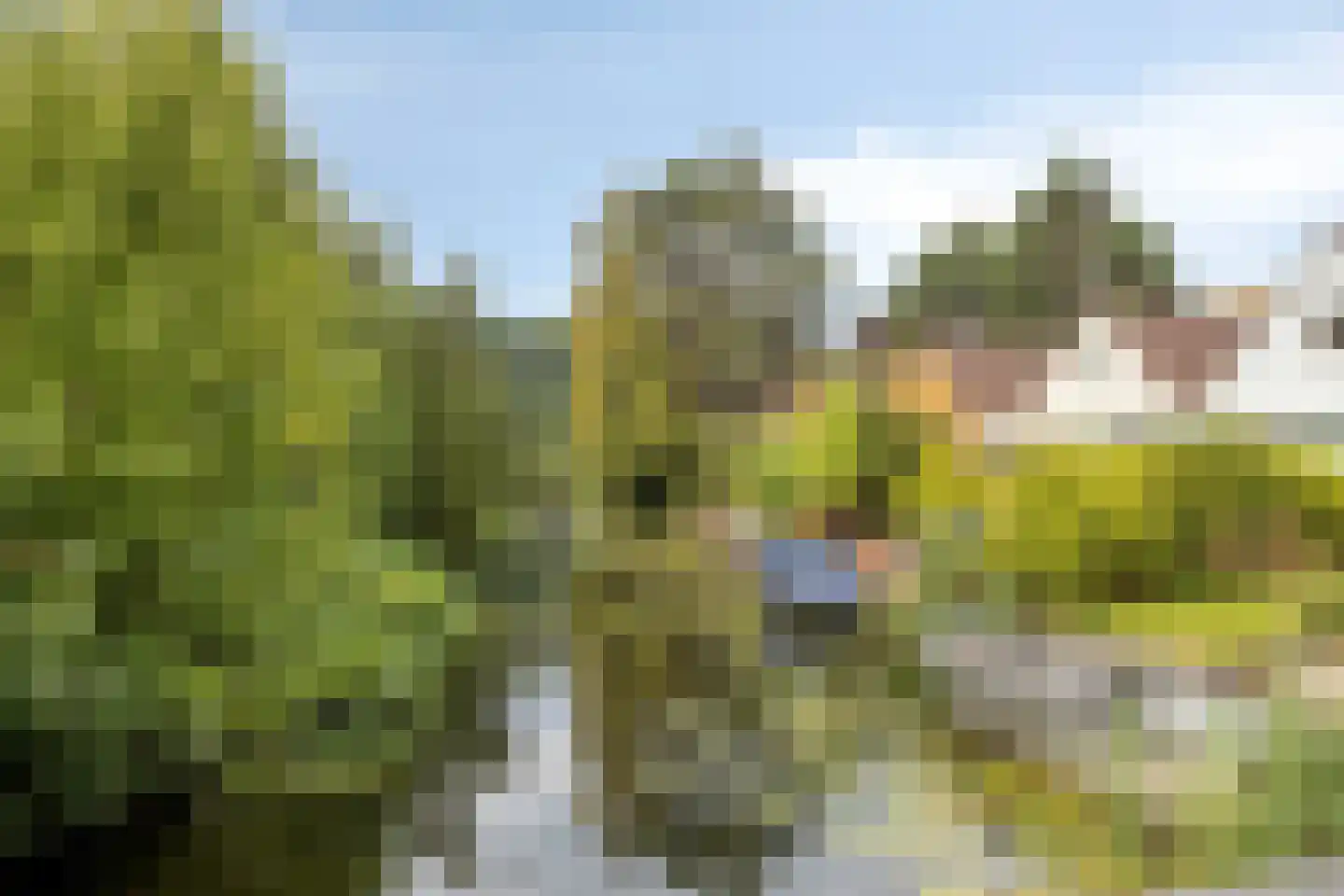 Queridolaan 23 Oegstgeest thumbnail 34