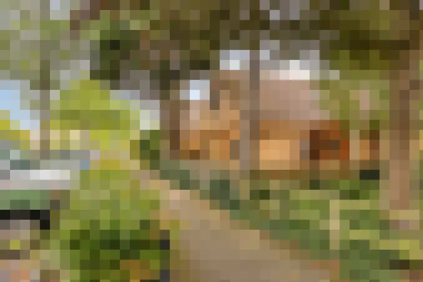 Queridolaan 23 Oegstgeest thumbnail 5