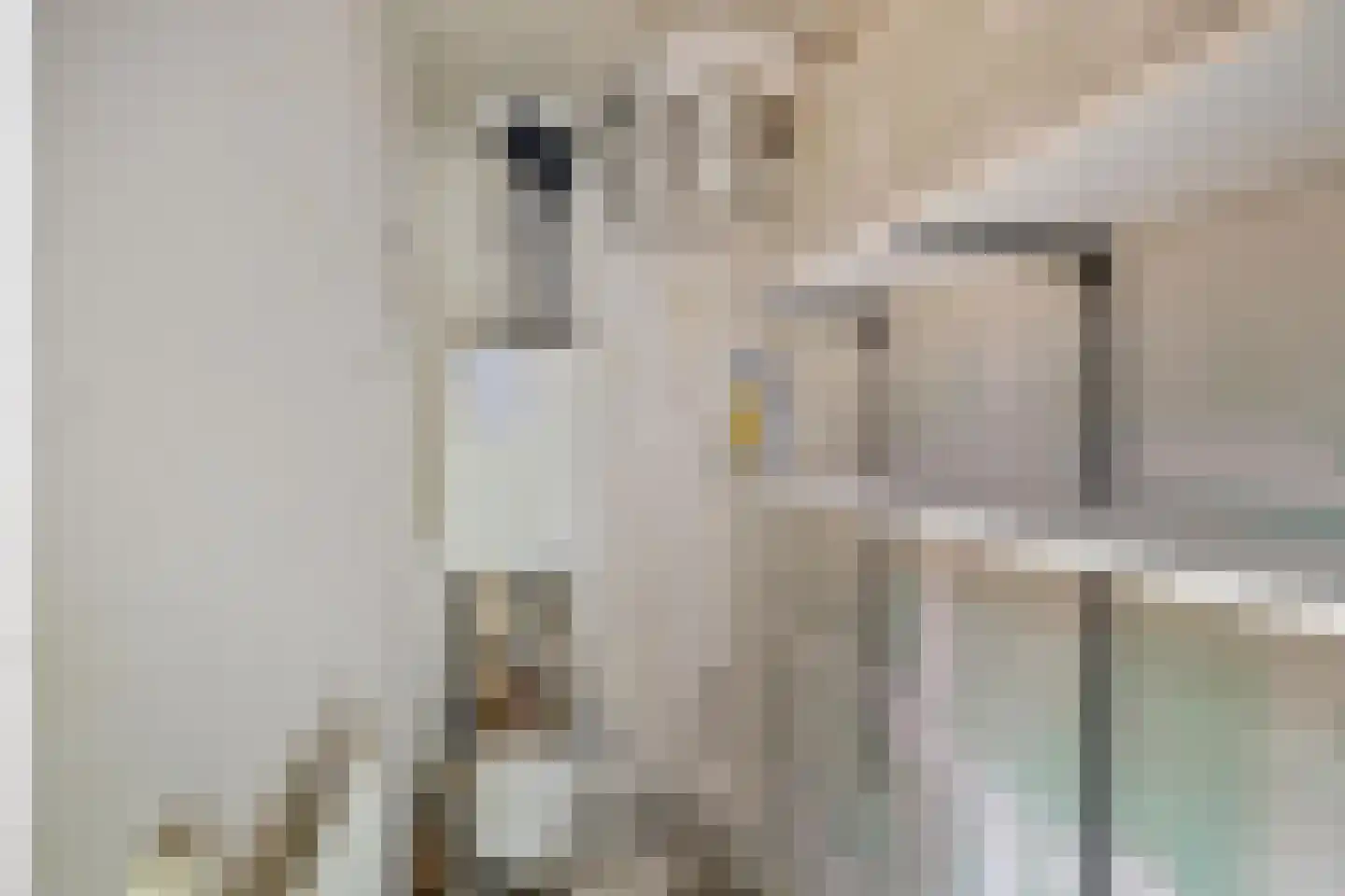 Queridolaan 3 e Groningen thumbnail 28