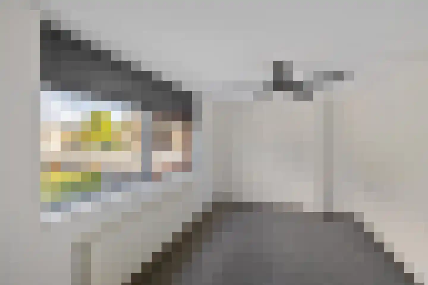 Queridolaan 3 e Groningen thumbnail 33