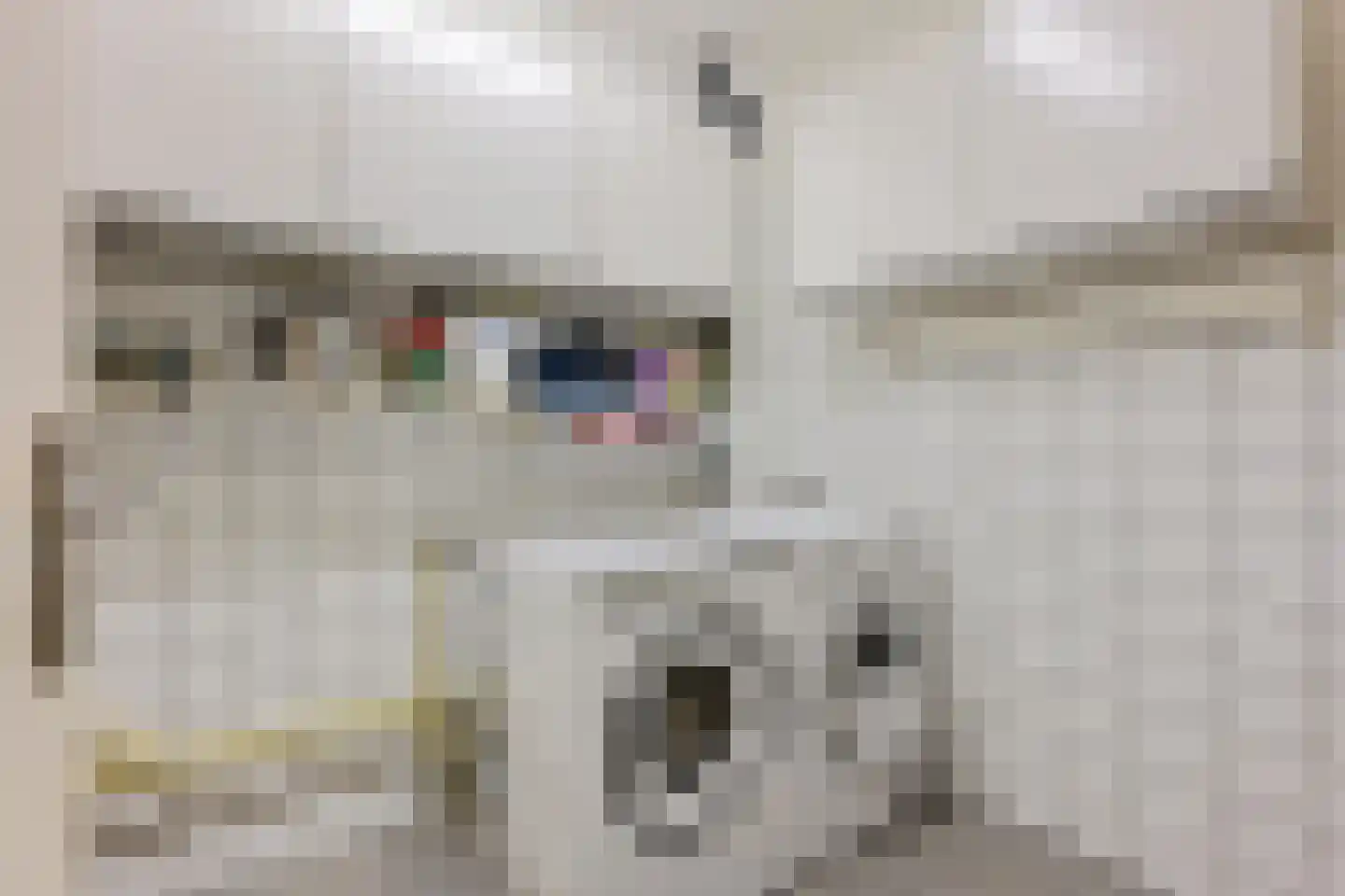 Queridolaan 34 Groningen thumbnail 19