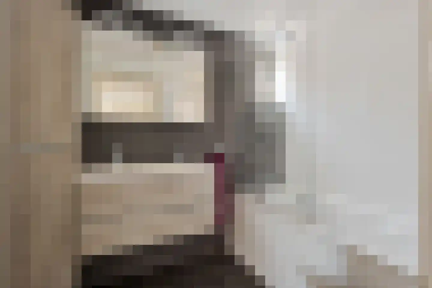 Queridolaan 34 Groningen thumbnail 25