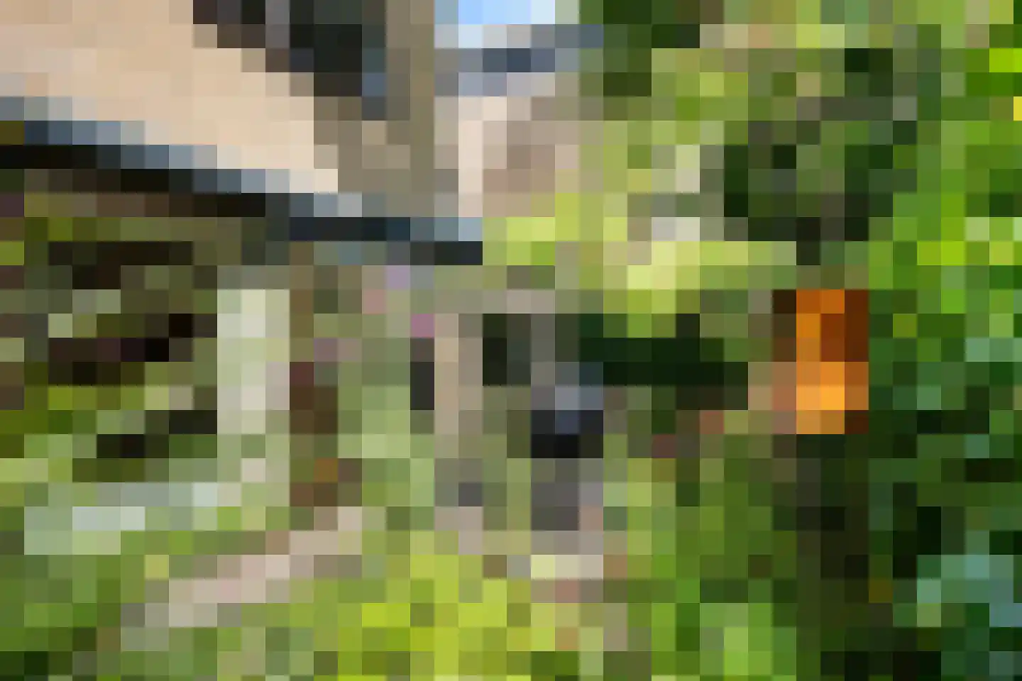 Queridolaan 34 Groningen thumbnail 42