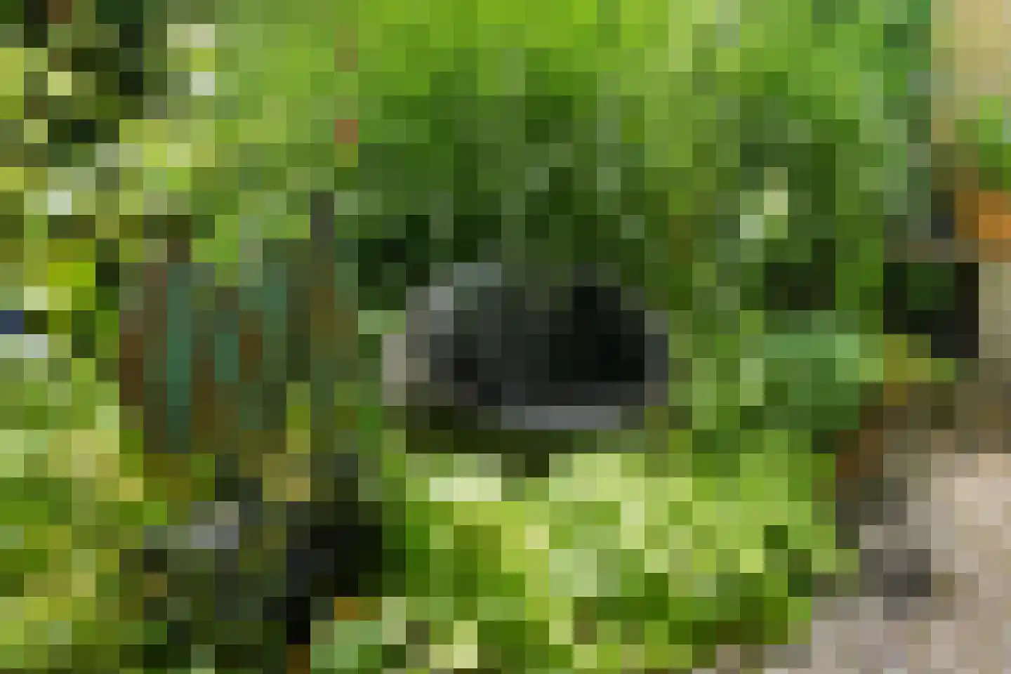 Queridolaan 34 Groningen thumbnail 43