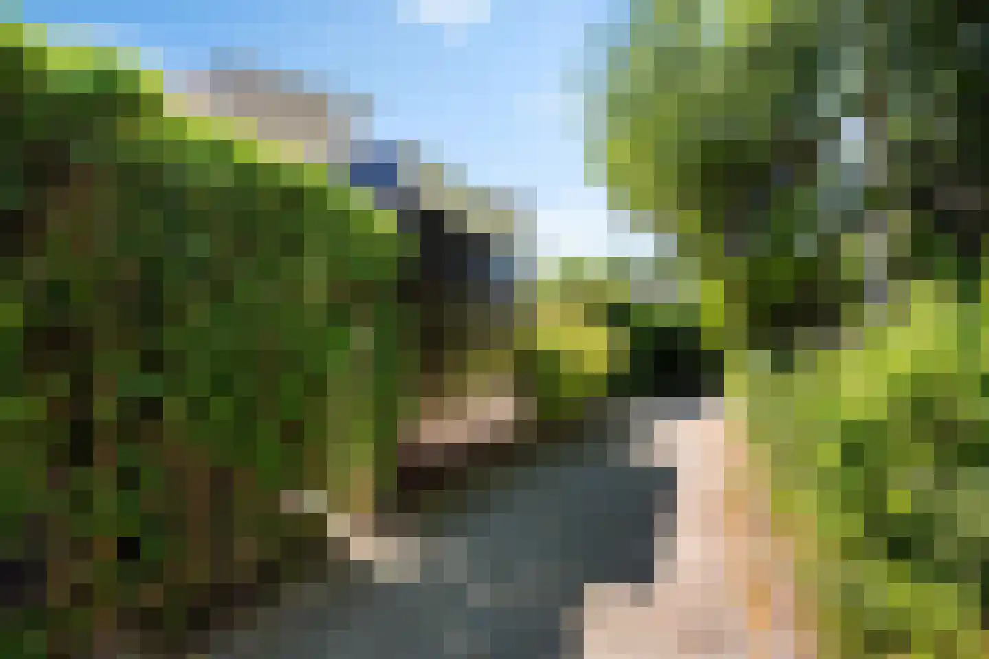 Queridolaan 34 Groningen thumbnail 45