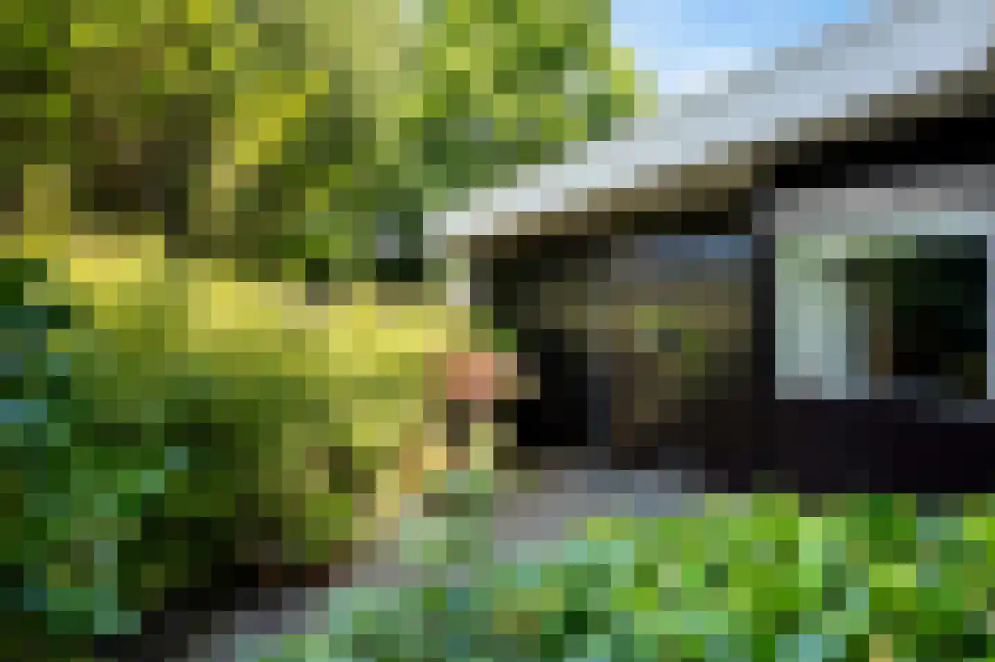 Queridolaan 34 Groningen thumbnail 5