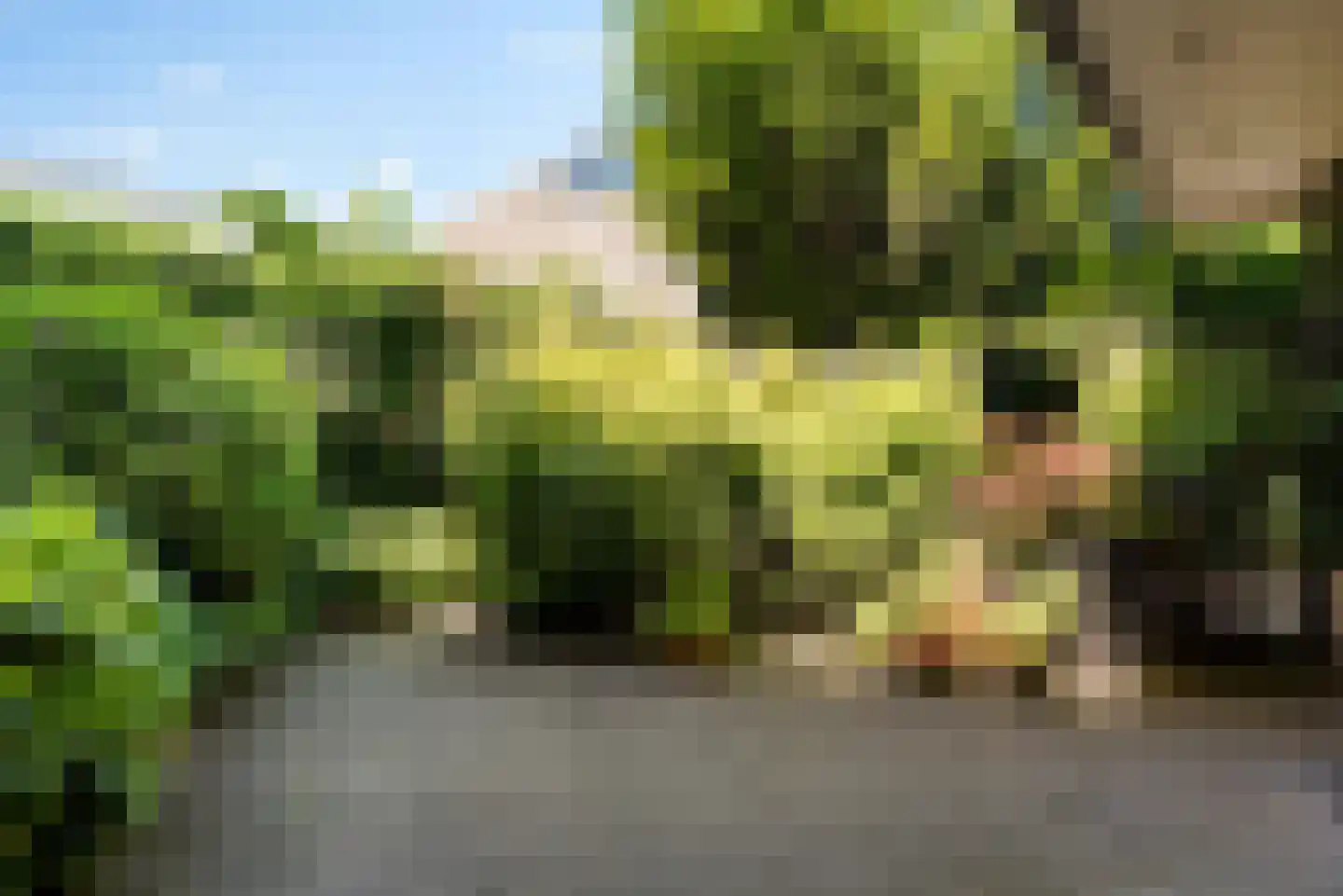 Queridolaan 34 Groningen thumbnail 6