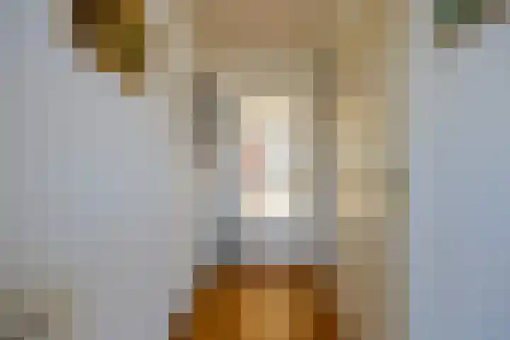 Queridolaan 65 Oegstgeest thumbnail 11