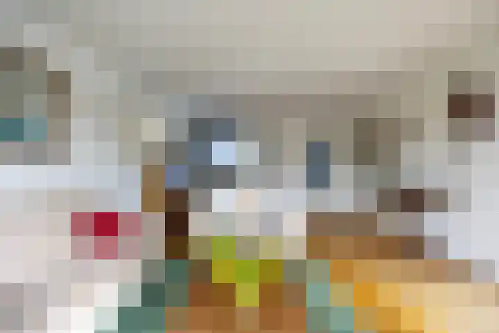 Queridolaan 65 Oegstgeest thumbnail 16