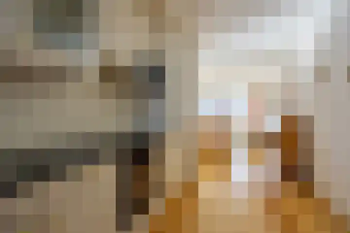 Queridolaan 65 Oegstgeest thumbnail 20