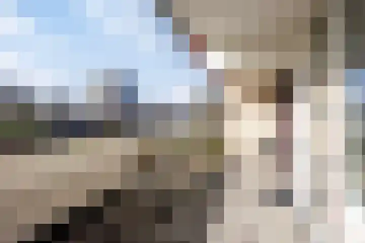 Queridolaan 65 Oegstgeest thumbnail 30