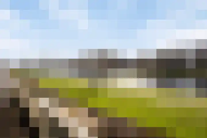 Queridolaan 65 Oegstgeest thumbnail 32