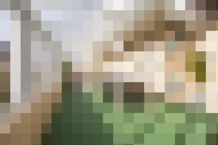 Queridolaan 65 Oegstgeest thumbnail 34